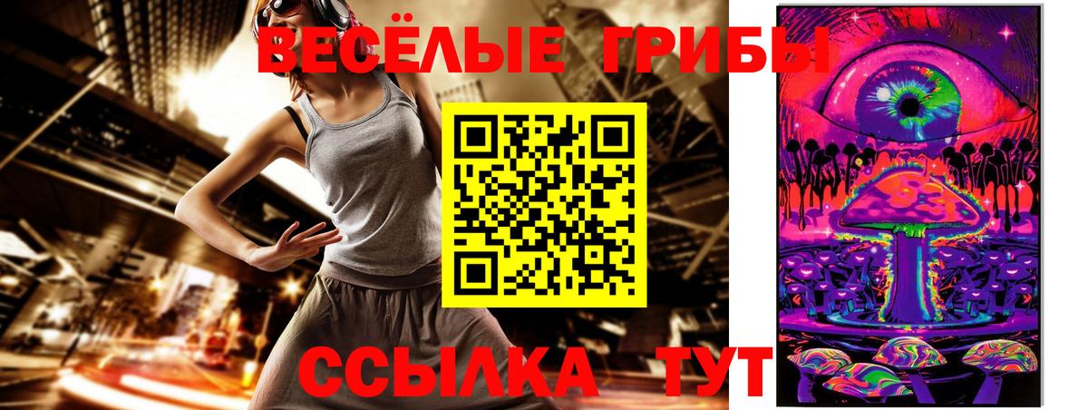 Псилоцибиновые грибы мицелий  Вход с VPN  Курганинск 